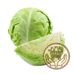 repollo blanco 1kgs
