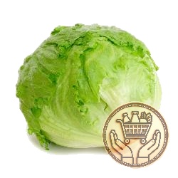lechuga arrepollada 1kgs
